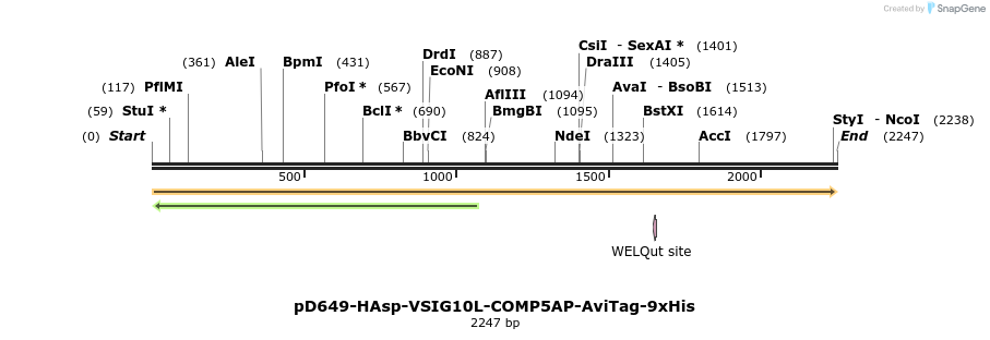 304176_map