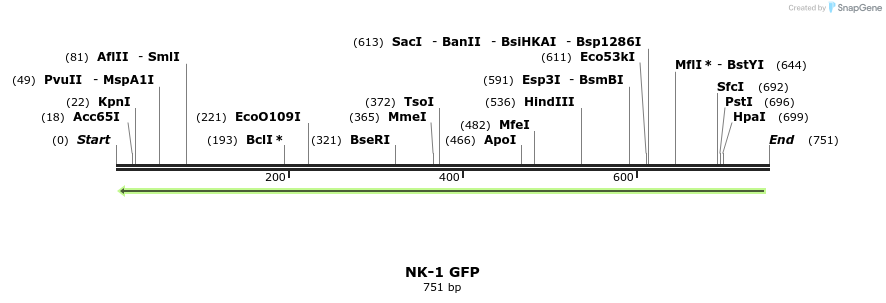 30418_map