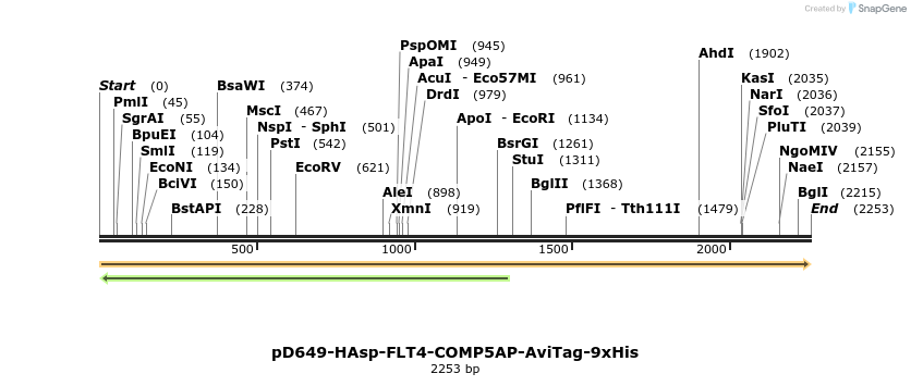 304180_map