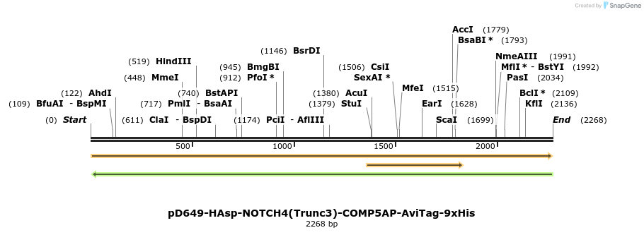304184_map