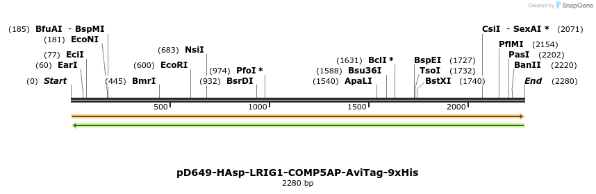 304186_map