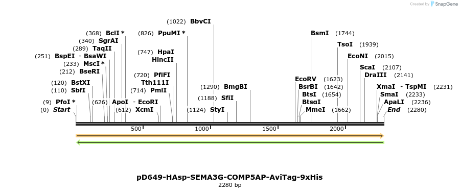 304188_map