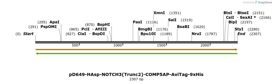 304194_map