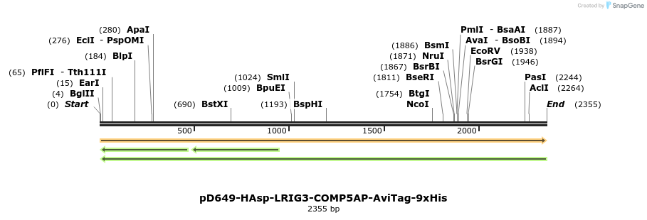 304196_map