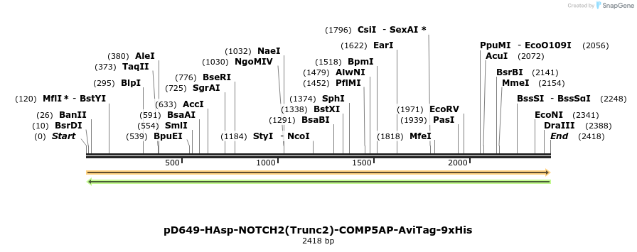 304200_map