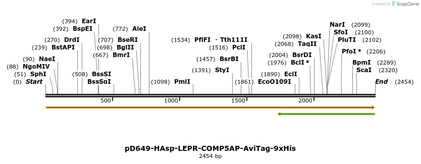 304206_map