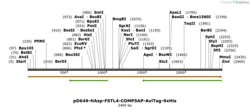 304208_map