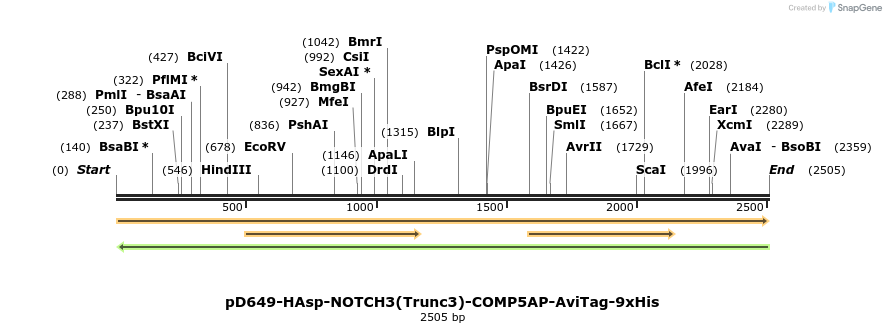 304214_map