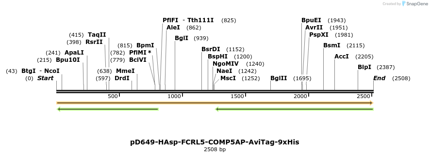 304218_map