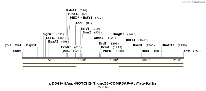 304222_map