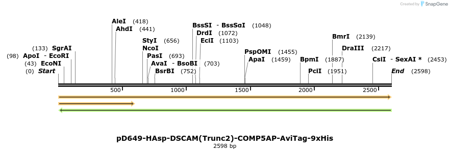304224_map