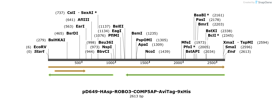 304232_map