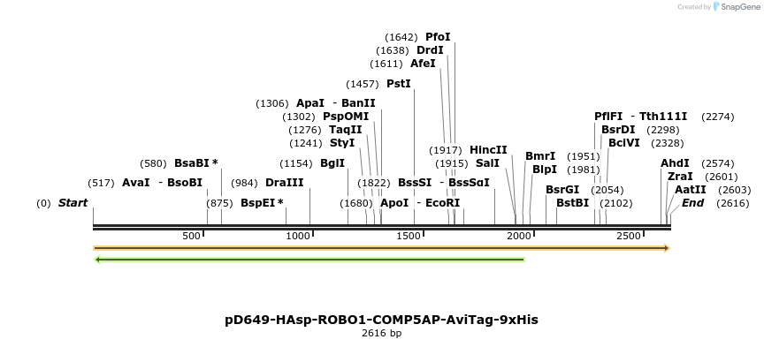 304234_map