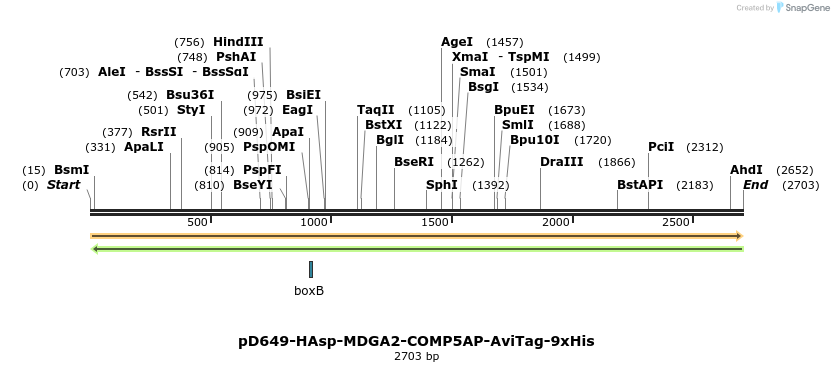 304240_map