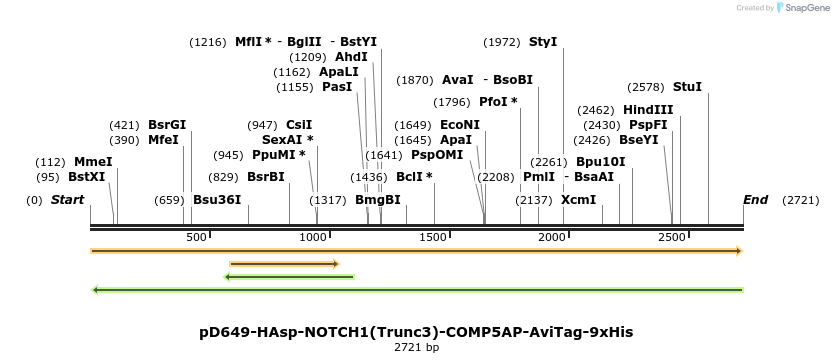 304242_map