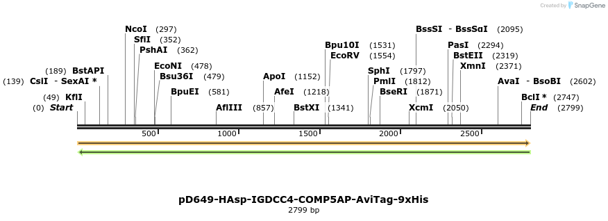 304248_map