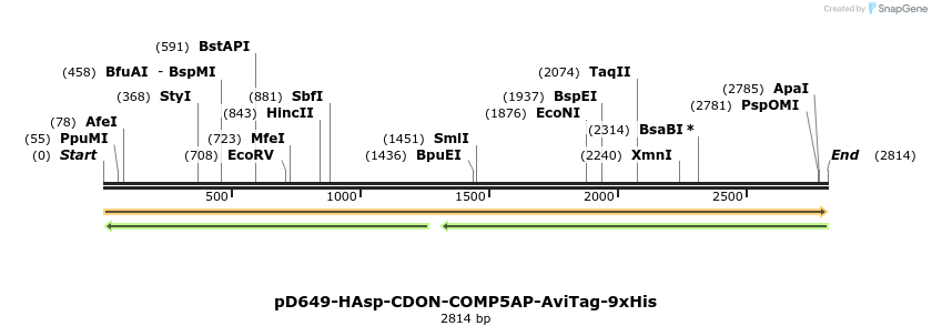 304252_map