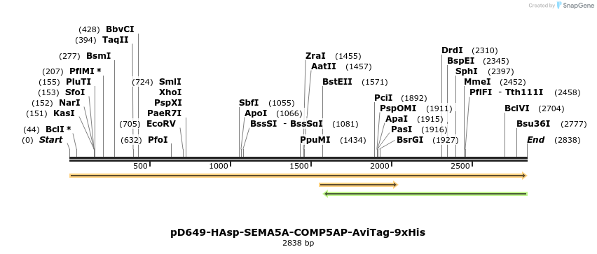 304254_map