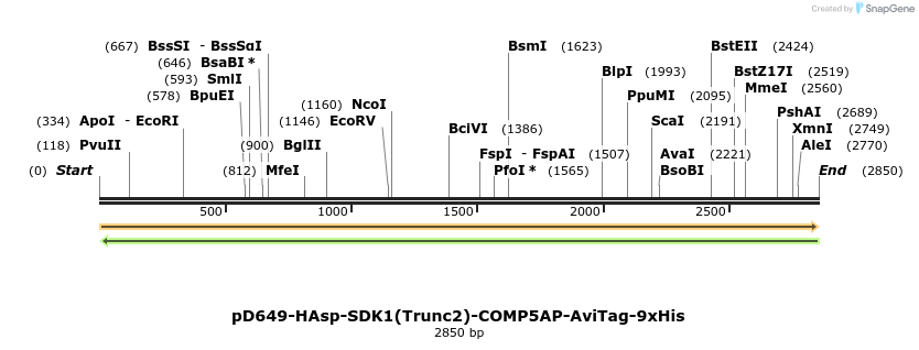 304256_map