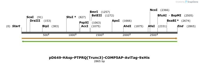 304258_map