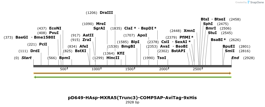 304266_map