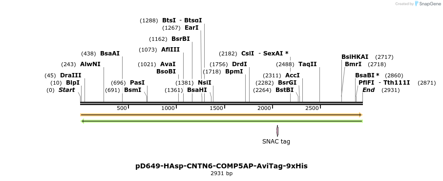 304268_map
