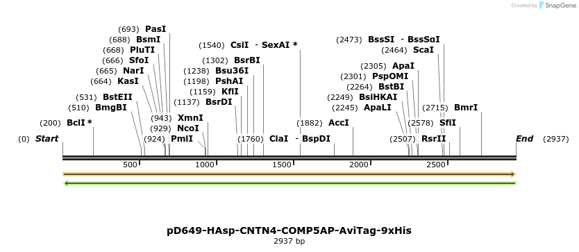 304272_map