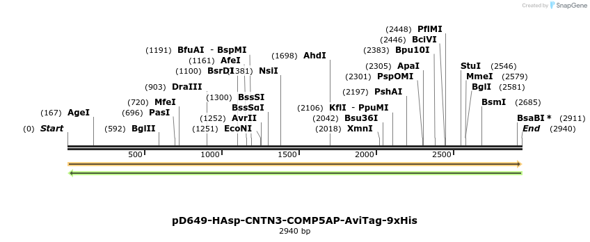 304274_map