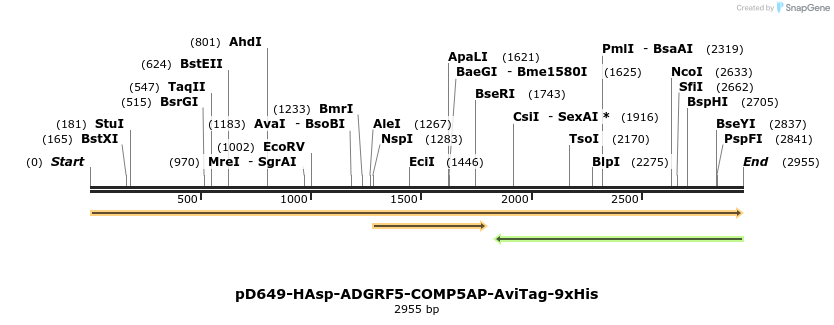 304276_map