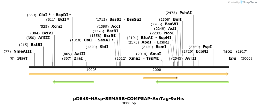 304280_map
