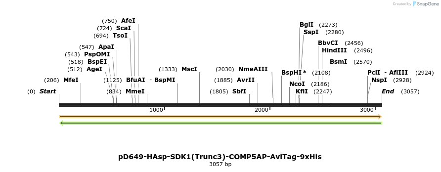 304282_map