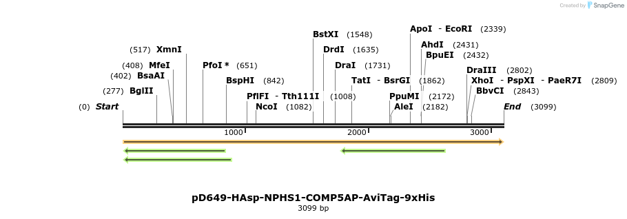 304284_map