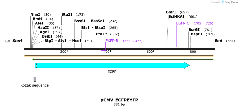 30429_map