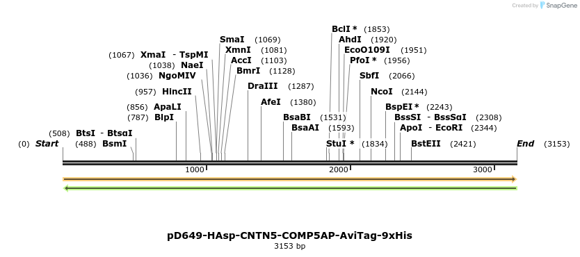304290_map