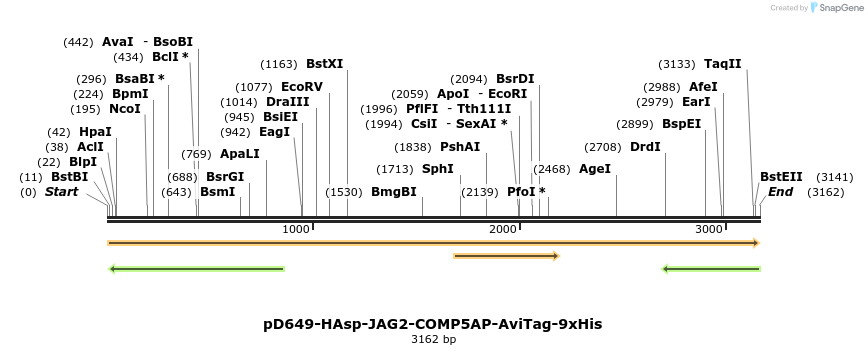 304292_map