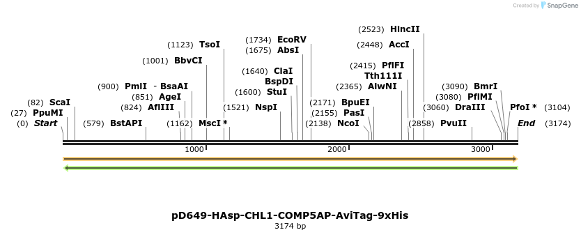 304294_map