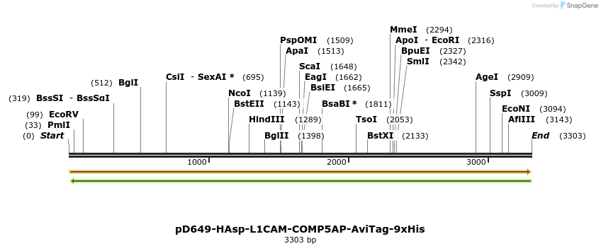 304300_map