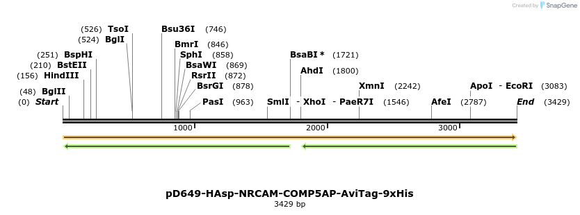 304304_map