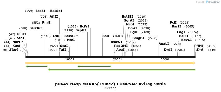 304306_map