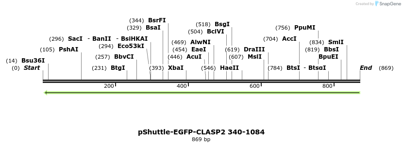 30431_map
