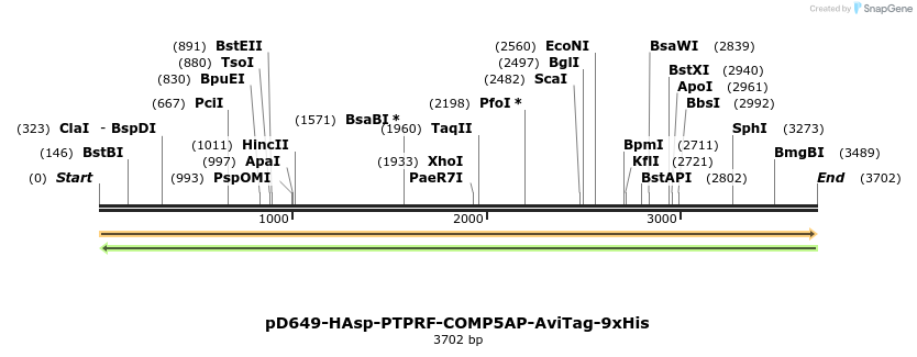 304310_map
