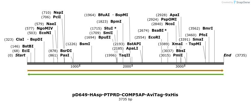 304312_map
