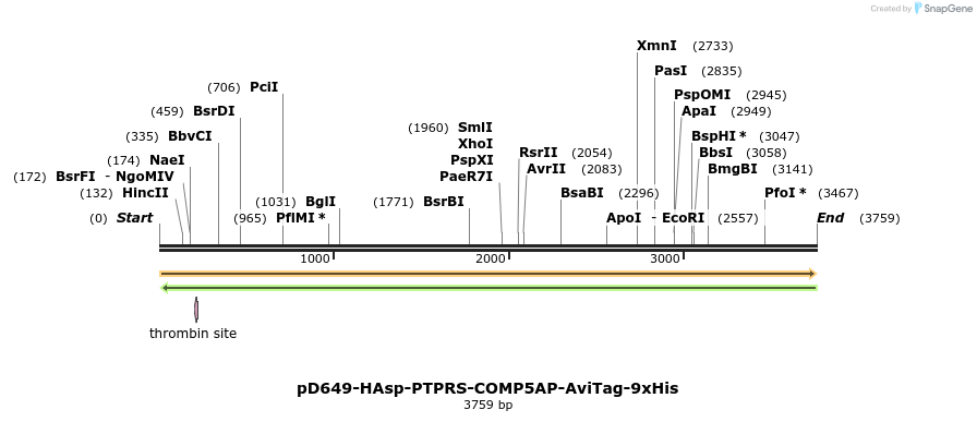 304314_map