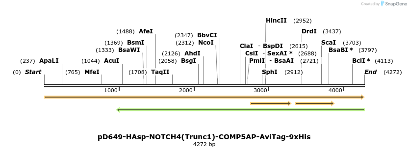304318_map