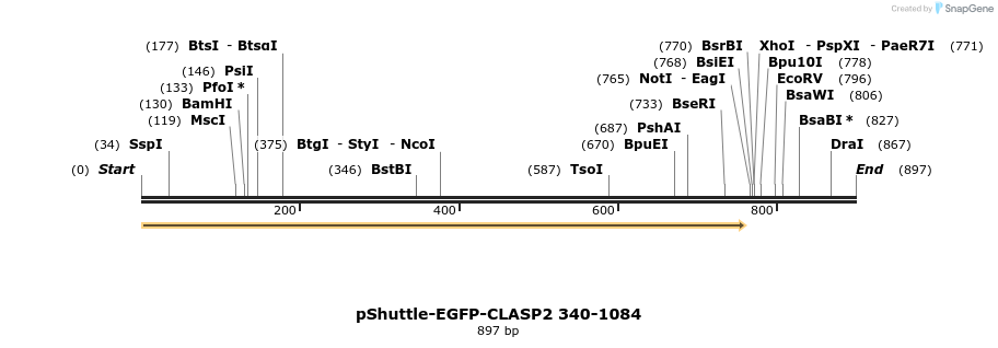 30432_map