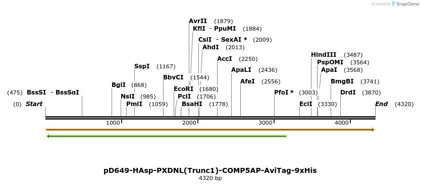 304320_map