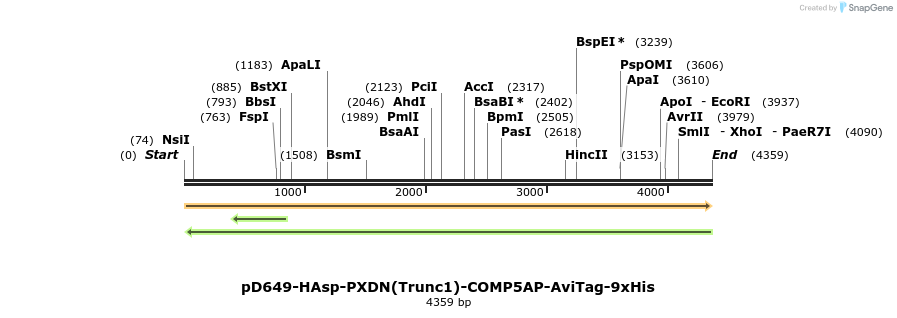 304322_map