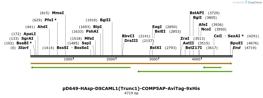 304324_map