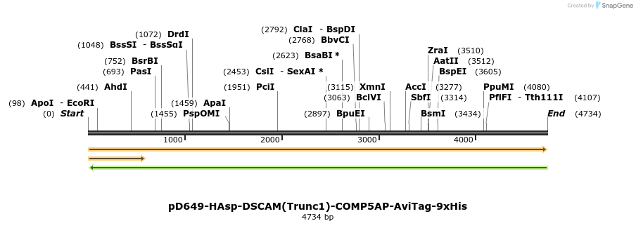 304326_map