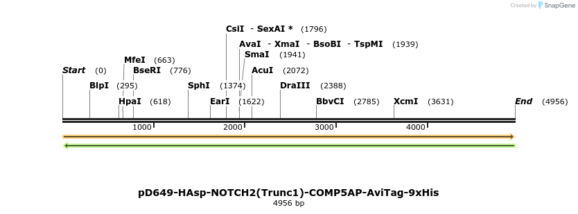 304332_map